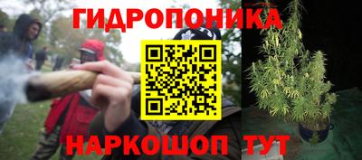 гашик Ирбит