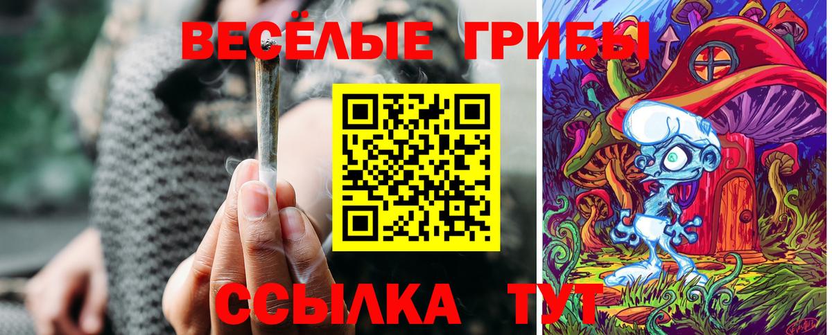 Елизово  Галлюциногенные грибы Magic Shrooms  Вход с VPN  как найти закладки  Псилоцибиновые грибы мухоморы 